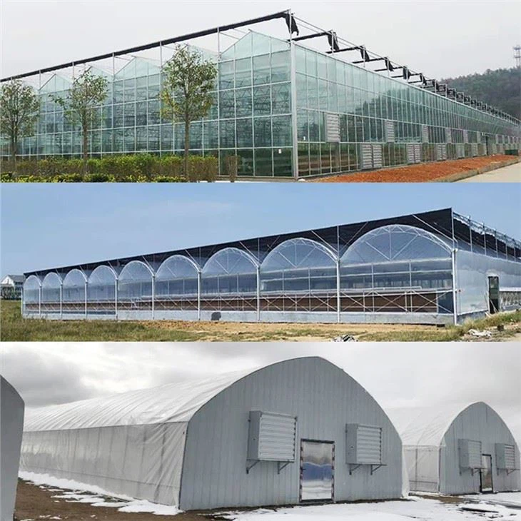 Customize Big Size Greenhouses